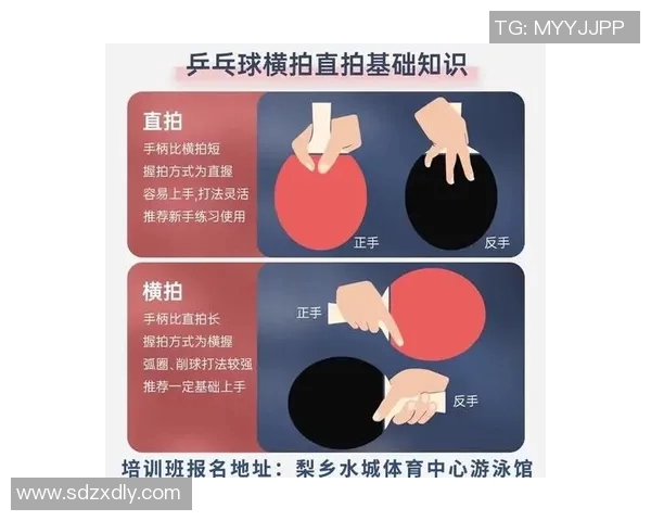 周敏亲授乒乓球技巧与心得分享助你提升球技的秘密宝典 周敏亲授乒乓球技巧与心得分享助你提升球技的秘密宝典