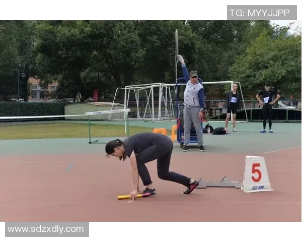 杨敏揭秘排球成功秘诀与背后故事分享 杨敏揭秘排球成功秘诀与背后故事分享