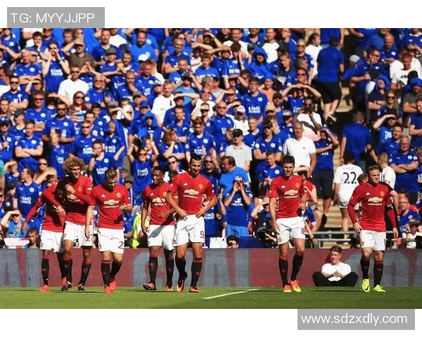 深圳排球队勇闯英超总决赛的辉煌历程与背后故事揭秘 深圳排球队勇闯英超总决赛的辉煌历程与背后故事揭秘