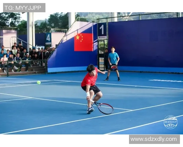 从零基础到网球高手全面提升技巧与欧冠足球战术解析 从零基础到网球高手全面提升技巧与欧冠足球战术解析