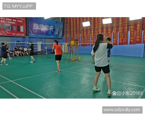 羽毛球焦点北京羽毛球队技术分析与发展策略探讨 羽毛球焦点北京羽毛球队技术分析与发展策略探讨