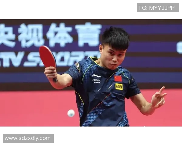 南京乒乓球队个人能力深度剖析与发展潜力探讨