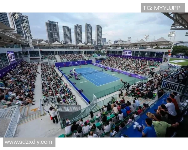 广州网球队技术水平创新高引发网球界广泛关注与赞誉