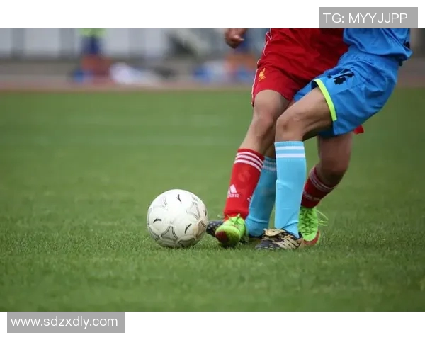 体育实时数据与赵敏畅谈她的篮球生涯与成长历程的精彩对话