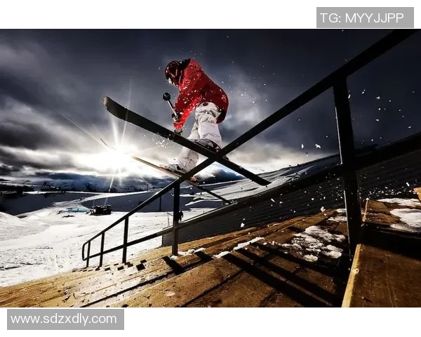 武汉极限运动队的比赛经验分享与挑战精神探讨实时数据